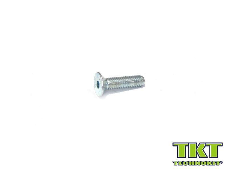 51548 VITE M5x20 T.S.P.E.I.